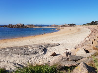 Presqu'île Renote à Trégastel